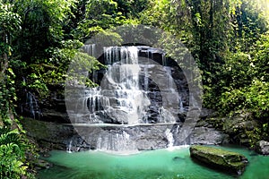 Waterfall cascade in Tropical Rainforest With Big Rock Cover with Green Moss After Rain. Taken in Cariu Jungle Bogor at Wet Season