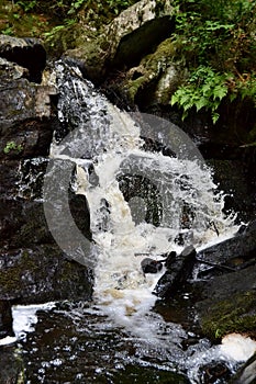 Waterfall cascading along bedrock in lush green forest