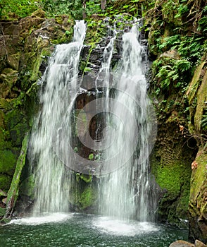Waterfall cascading with ferns and green mossy rocks
