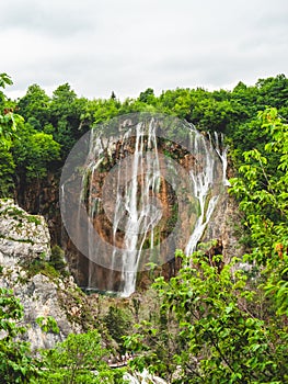 Waterfall cascading through lush green jungle, embraced by trees & shrubbery