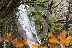 Waterfall Cascading on Mossy Rocks in Autumn in Plitvice Lakes National Park