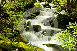 Waterfall cascading over the rocks in the Great Smoky Mountains NP