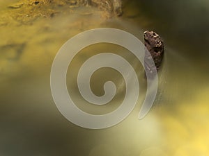 Waterfall at Castril Spain