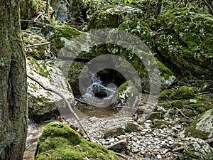 Waterfall on Cerna valley , in Caras Severin, near Cerna Sat.