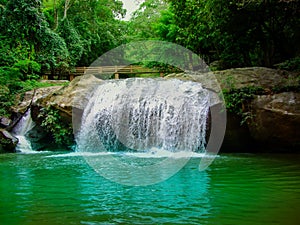 Waterfall, Chiang Mai Province, Woodland, Flowing Water, Forest