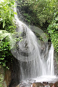 Waterfall in Cibodas Botanical garden, Puncak