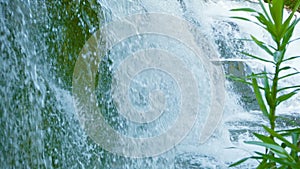 Waterfall close-up. Spray of pure water and the plant