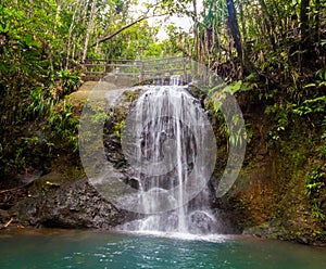 Waterfall in Colo-i-Suva rain forest national park, nature reserve near Suva, Viti Levu island, Fiji, Melanesia, Oceania.