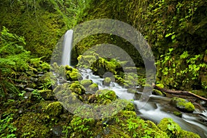 Waterfall in the Columbia River Gorge, Oregon, USA