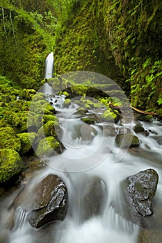 Waterfall in the Columbia River Gorge, Oregon, USA