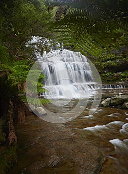 Waterfall in a cool temperate southern hemisphere forest