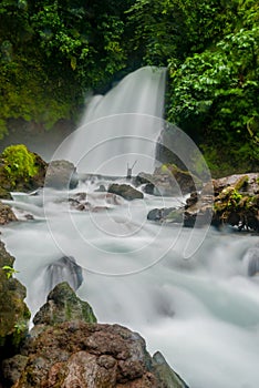 Waterfall in Costa Rica Jungle