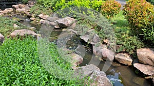 Waterfall creek with trees in green summer resort