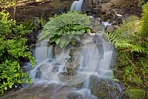 Waterfall at Crystal Springs Rhododendron Garden