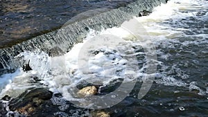 Waterfall on damm of small river. gateway lock construction.