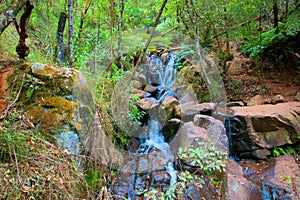 Waterfall in the Dandenong Ranges photo