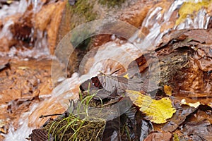 The waterfall of the David`s mill