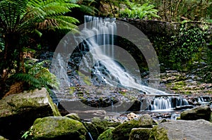Waterfall in deep forest