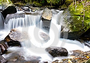 Waterfall deep forest