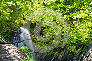 Waterfall in deep moss forest, clean adn fresh in Carpathians, Ukraine. photo
