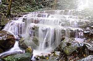 Waterfall in deep rain forest