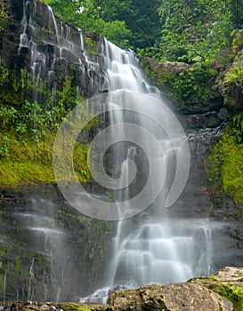Waterfall through dense forest