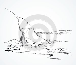 Waterfall in the desert. Oasis. Vector drawing