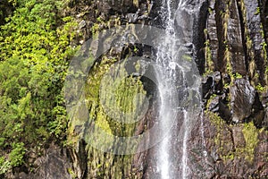 Waterfall Detail with Rock and Plants