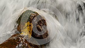 Waterfall detail with yellow leaf on wet stones