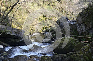 Waterfall, devils glen, wicklow ireland