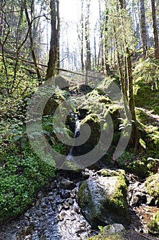 Waterfall, devils glen, wicklow ireland