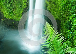 Waterfall in the djungle of Samoa