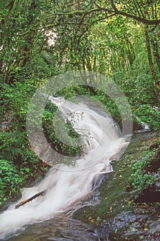 Waterfall in Doi Inthanon National Park