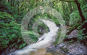 Waterfall in Doi Inthanon National Park