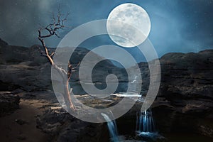 Waterfall with dry tree in night of full moon