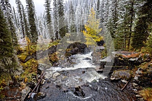 Waterfall in East Kazakhstan, Altai mountains