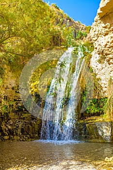 The waterfall in Ein Gedi