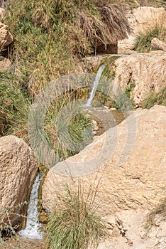 Waterfall in Ein Gedi National Park in Israel