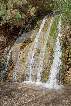 Waterfall in Ein Gedi National Park in Israel