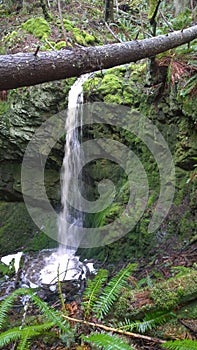 Waterfall in Enchanted Forest, South Pender Island.