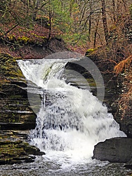 Waterfall in Enfield Glen at Robert H. Treman State Park Ithaca NYS