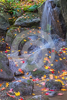 Waterfall Fallen Autumn Leaves