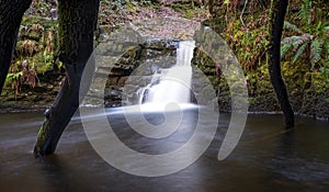 Waterfall with fallen trees