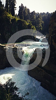 Waterfall falling through the Forests