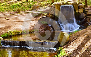 Waterfall. Falls in the forest. Wood.