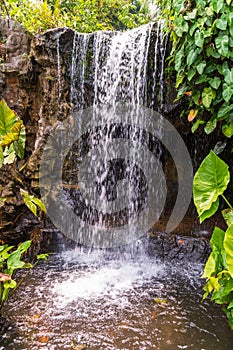 Waterfall feature in the Botanical Gardens, SIngapore