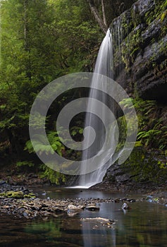 Waterfall with ferns and still reflective foreground