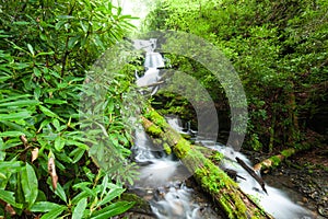 Waterfall, Fires Creek, Nantahala National Forest