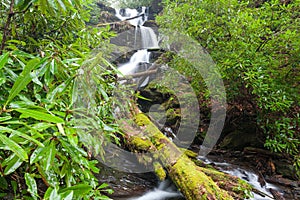 Waterfall, Fires Creek, Nantahala National Forest, NC