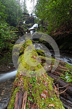 Waterfall in Fires Creek, Nantahala National Forest, NC